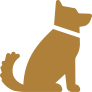 Pet Policy Pet Policy